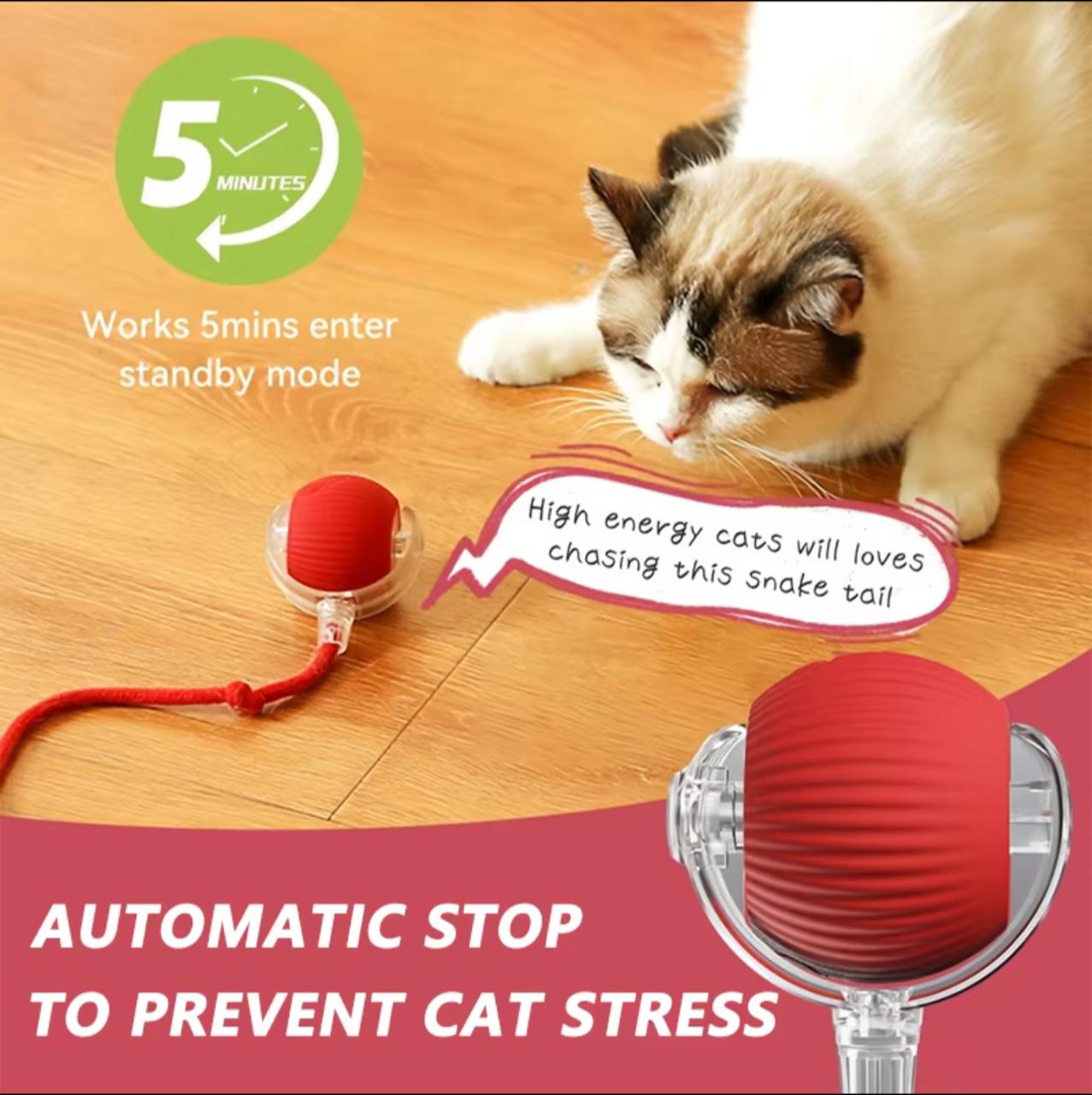 Smart Self-Rolling Cat Toy Ball – USB-C Rechargeable | 3 Speed Modes | Snake Tail | Red & Gray