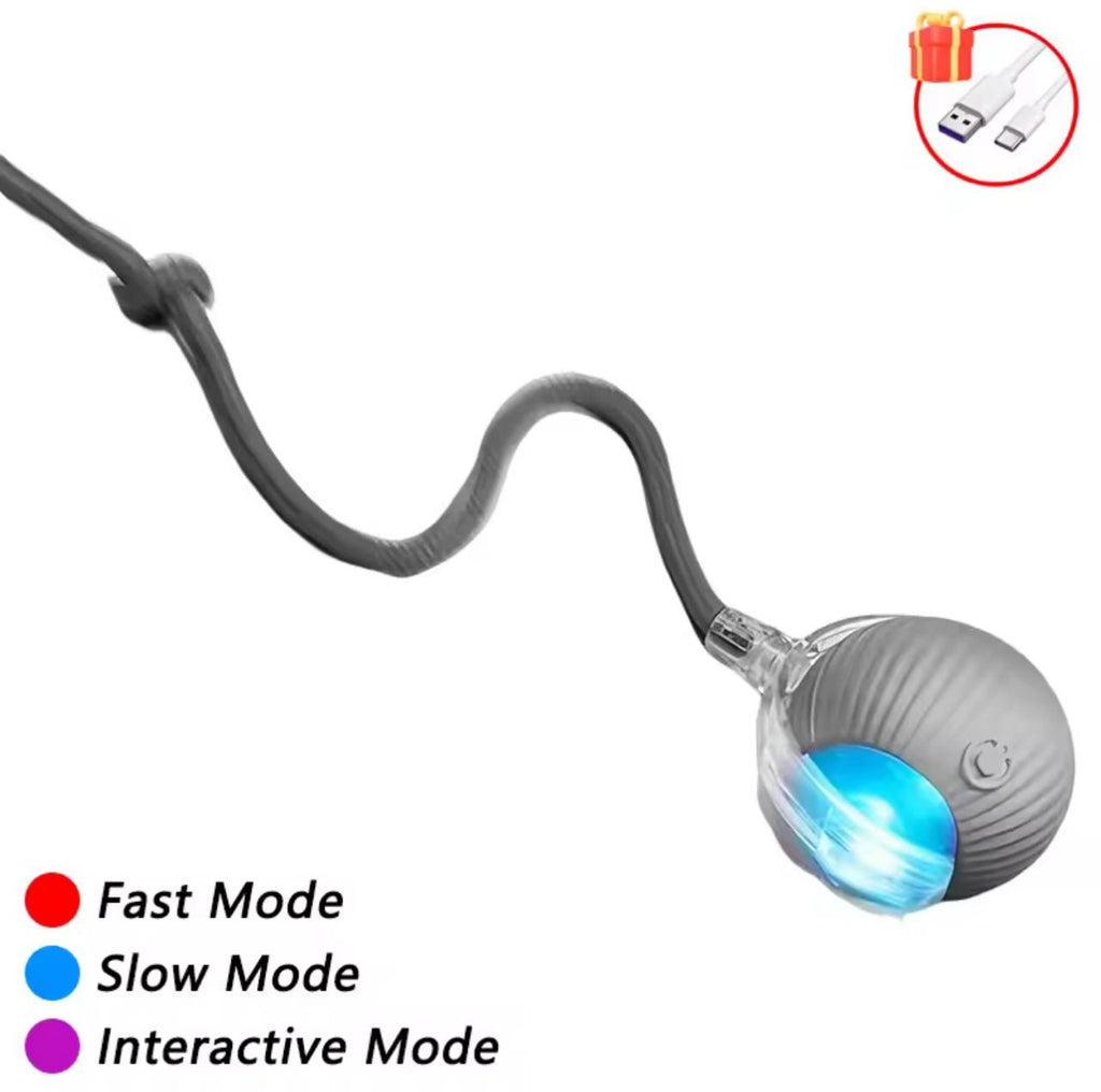 Smart Self-Rolling Cat Toy Ball – USB-C Rechargeable | 3 Speed Modes | Snake Tail | Red & Gray