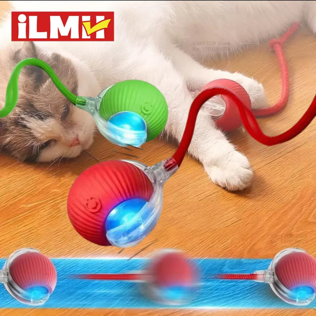 Smart Self-Rolling Cat Toy Ball – USB-C Rechargeable | 3 Speed Modes | Snake Tail | Red & Gray