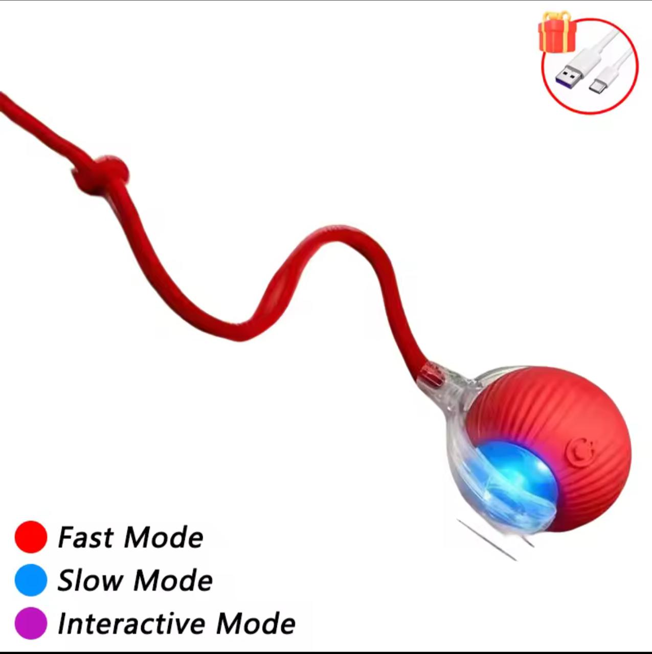 Smart Self-Rolling Cat Toy Ball – USB-C Rechargeable | 3 Speed Modes | Snake Tail | Red & Gray